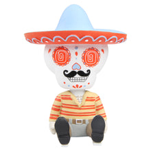 Load image into Gallery viewer, Señor Stashy Dashy