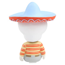 Load image into Gallery viewer, Señor Stashy Dashy